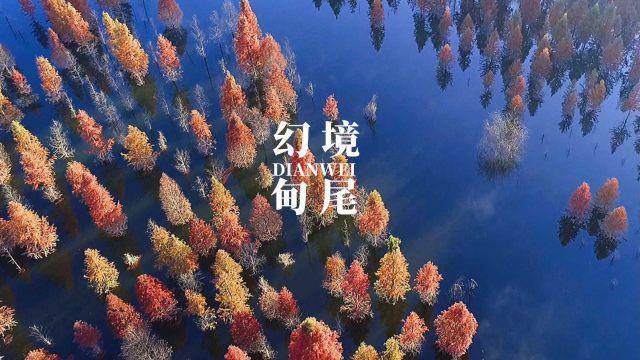 谁知道成吉思汗姓什么?游戏画面