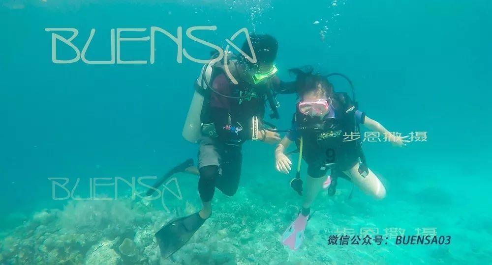 绯雨骑士团