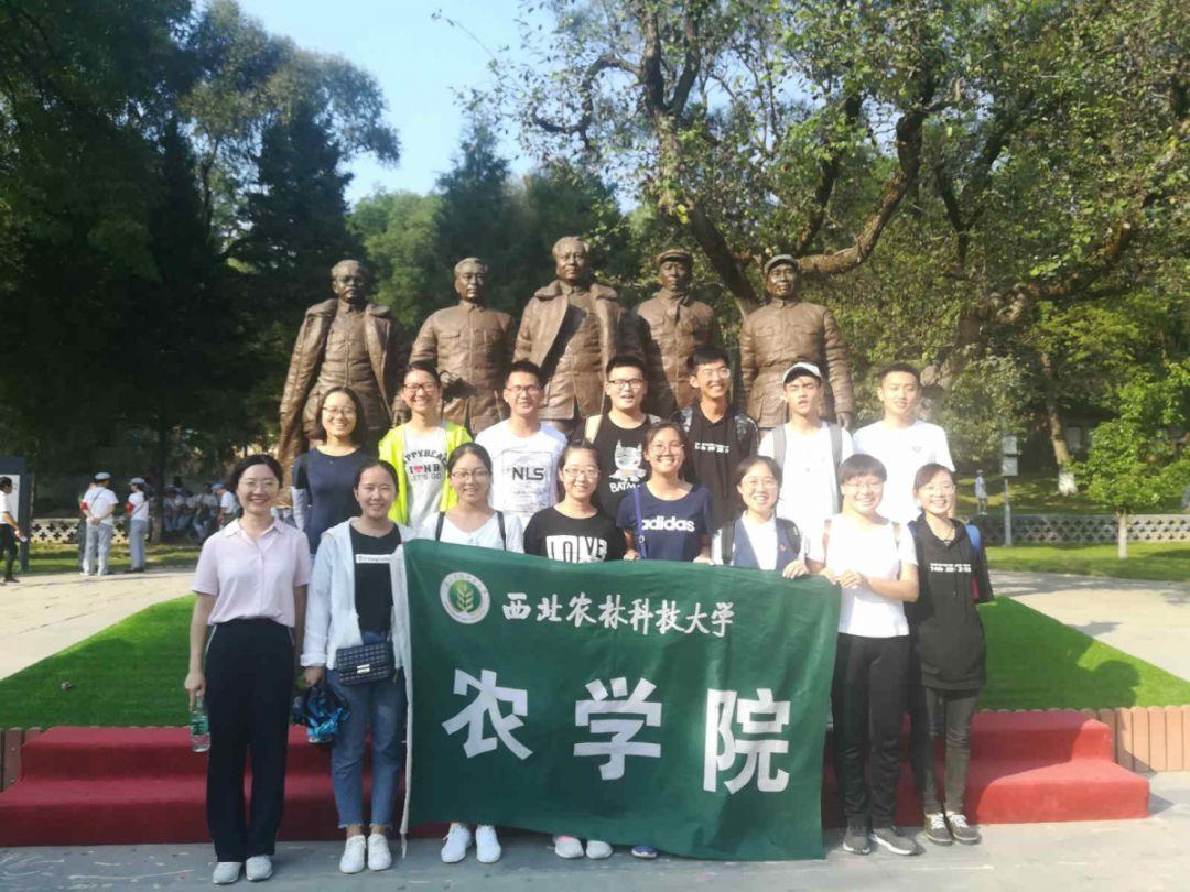 秦彩彩：扎根乡村传承柳青精神