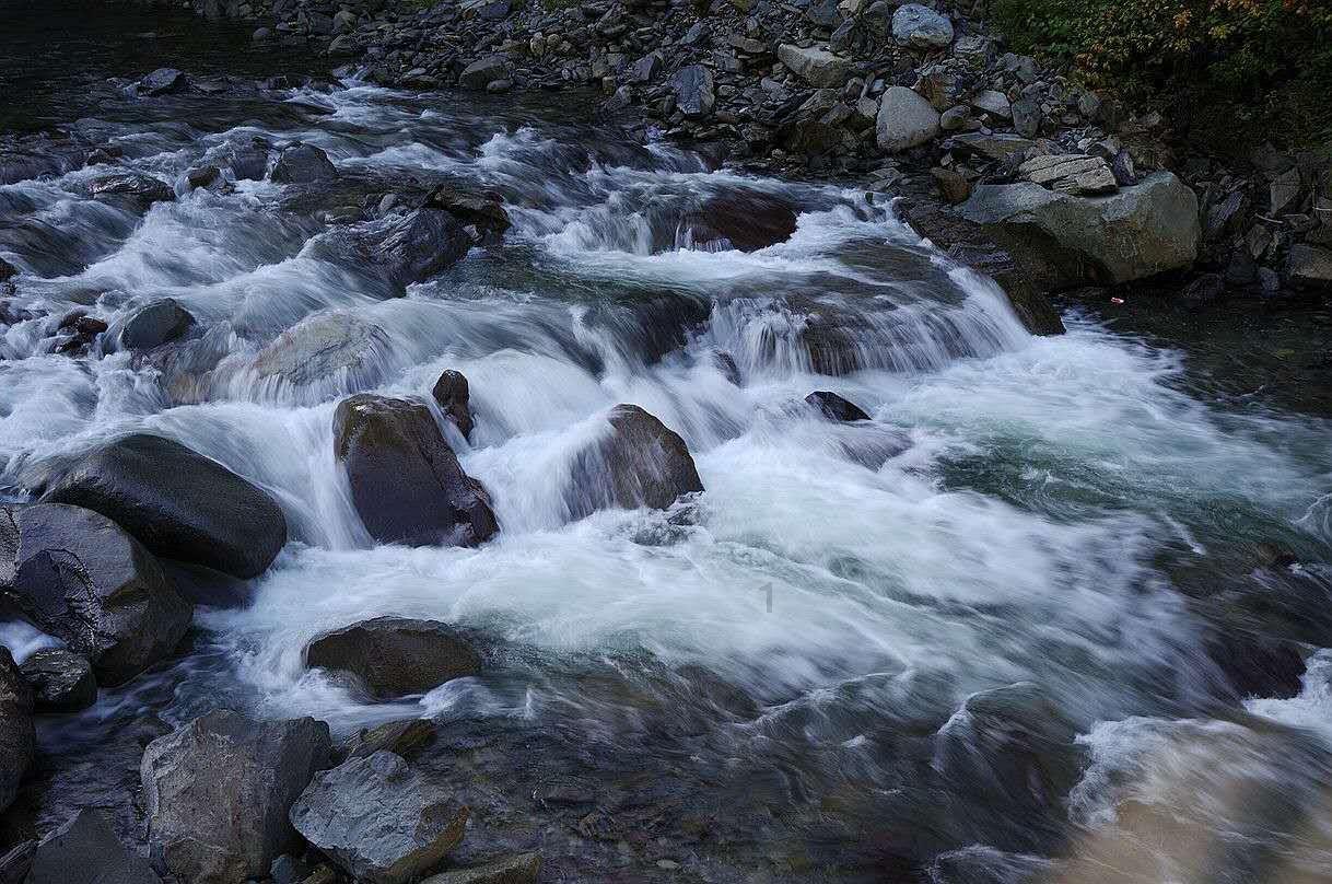春雨直播app