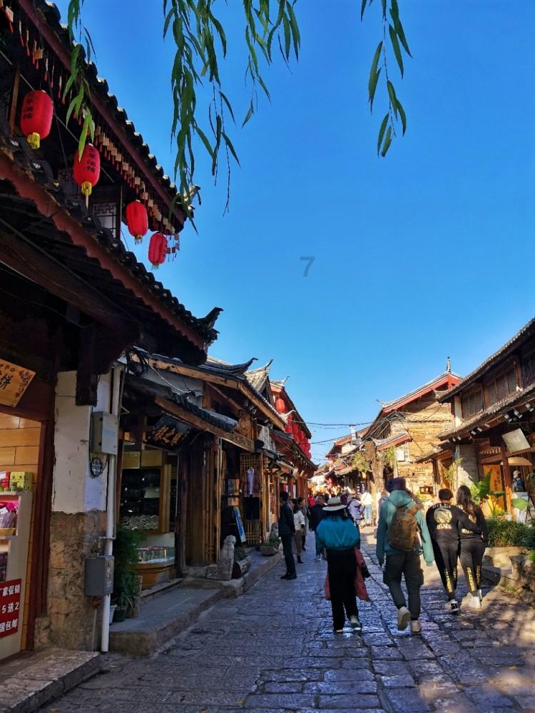机智问答网页-精彩答疑尽在家中发现白蚁如何防治