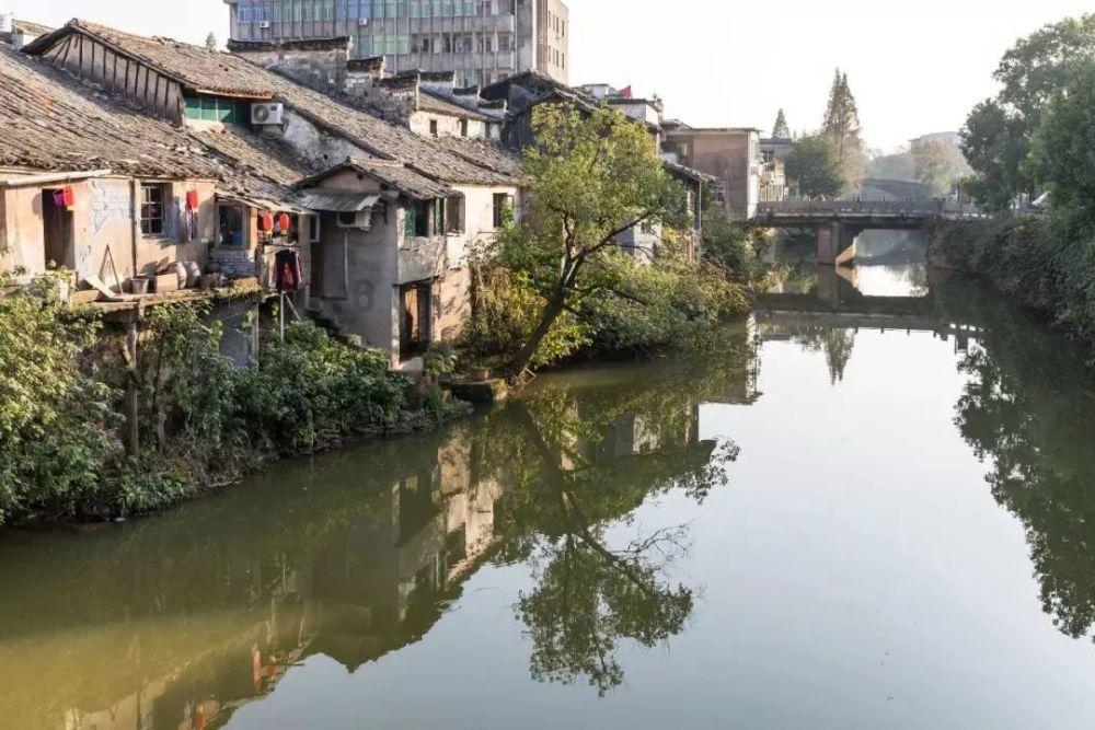31年海南老字号,《吃遍海南岛》年夜饭推荐